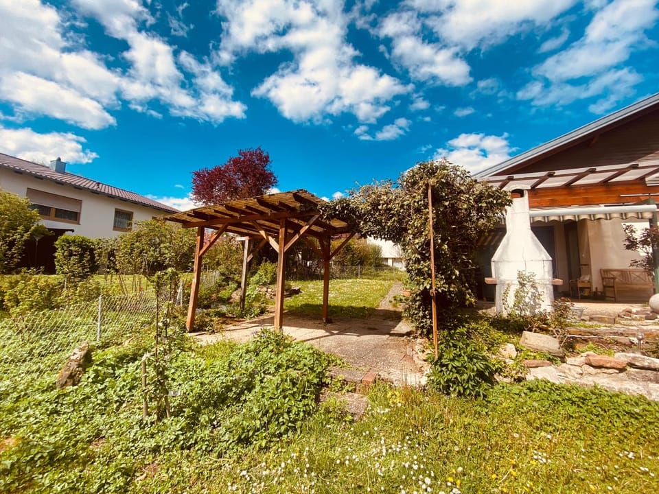 Garden view