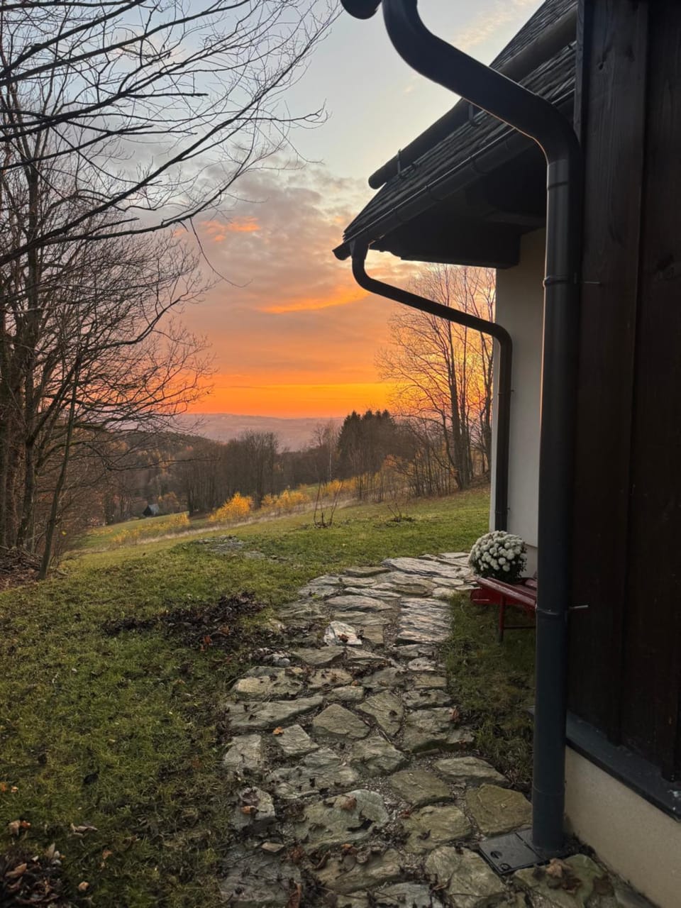 Spring, Natural landscape, Sunset