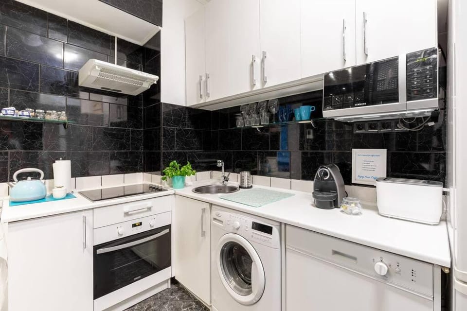 Kitchen or kitchenette, dishwasher, minibar, pet friendly, stove, washing machine