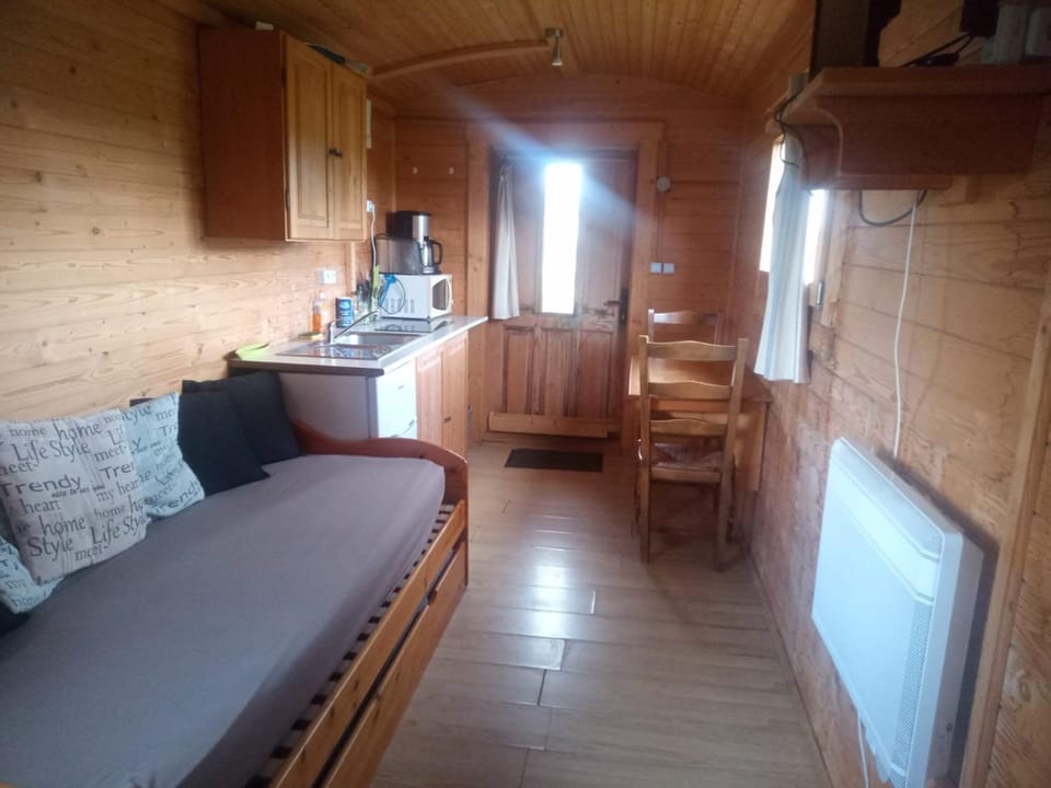 Bed, Kitchen or kitchenette, Photo of the whole room, Seating area, Dining area
