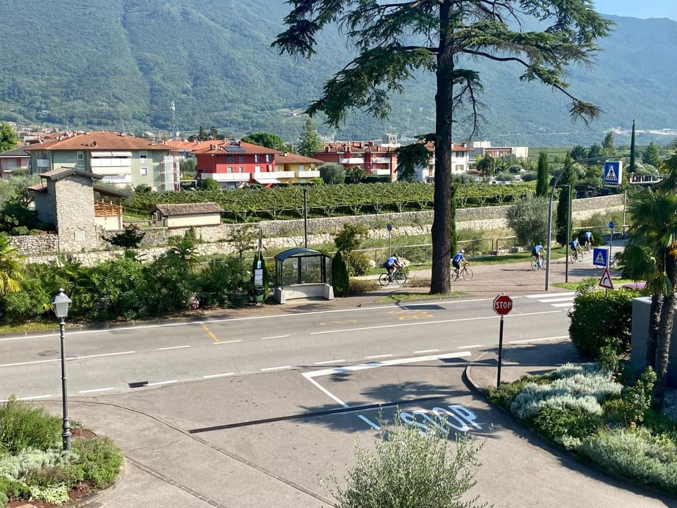 Neighbourhood, Mountain view