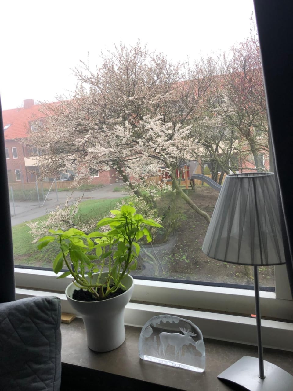 Nära till allt, i delad lägenhet Vacation rental in Skåne County