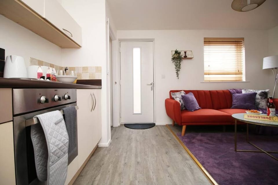 Bridge View Studio by Tŷ SA Apartment in Newport