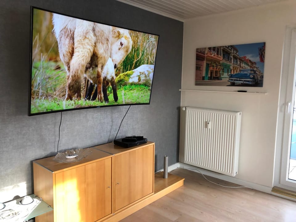 TV and multimedia