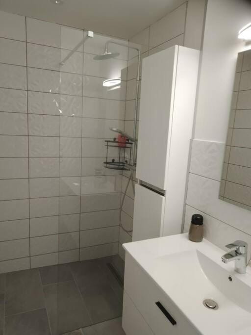 appartement 2 T2 neuf et élégant proche zénith Apartment in Auvergne-Rhône-Alpes