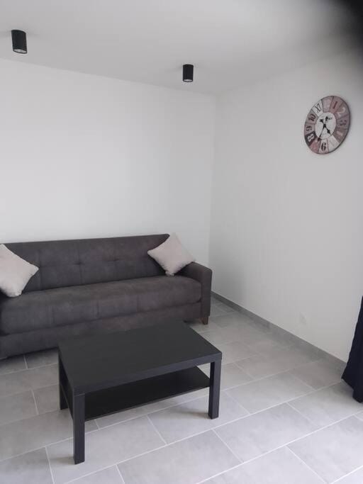 appartement 2 T2 neuf et élégant proche zénith Apartment in Auvergne-Rhône-Alpes