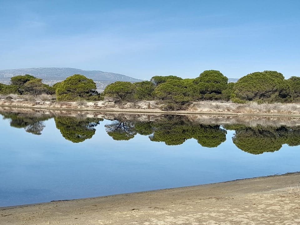 Natural landscape