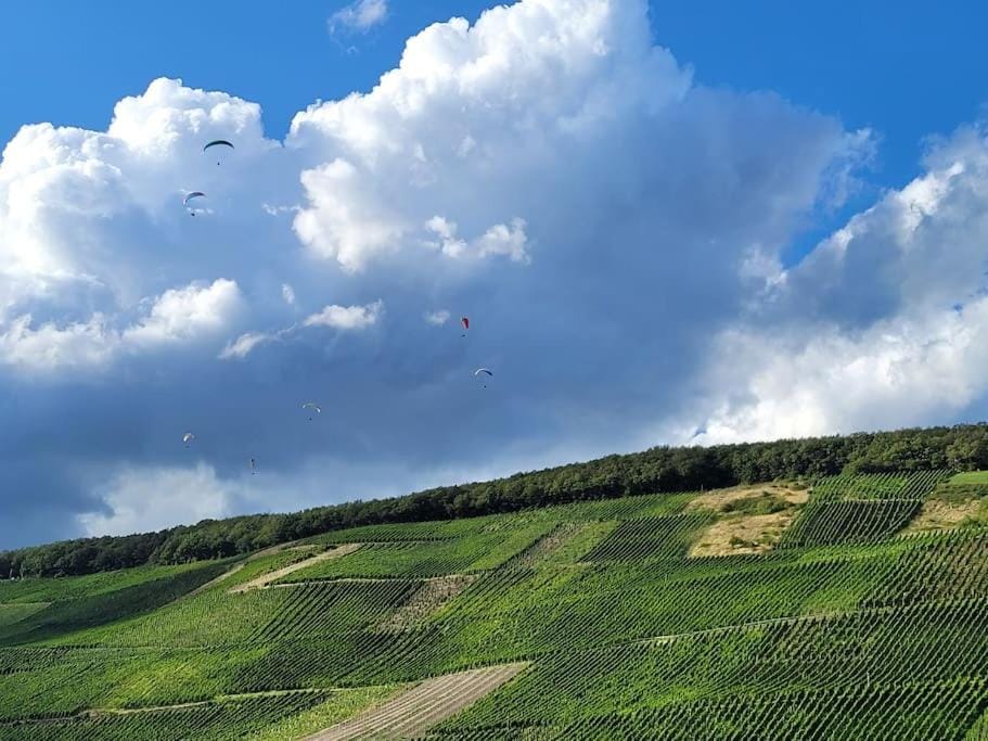 Natural landscape, Activities