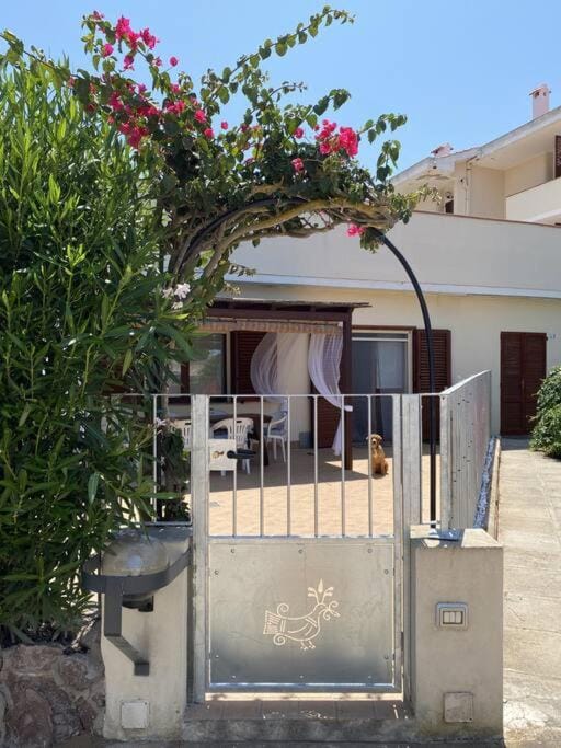 Property building, Patio, Garden, Garden view