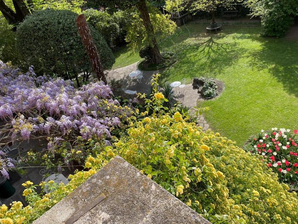 Garden view