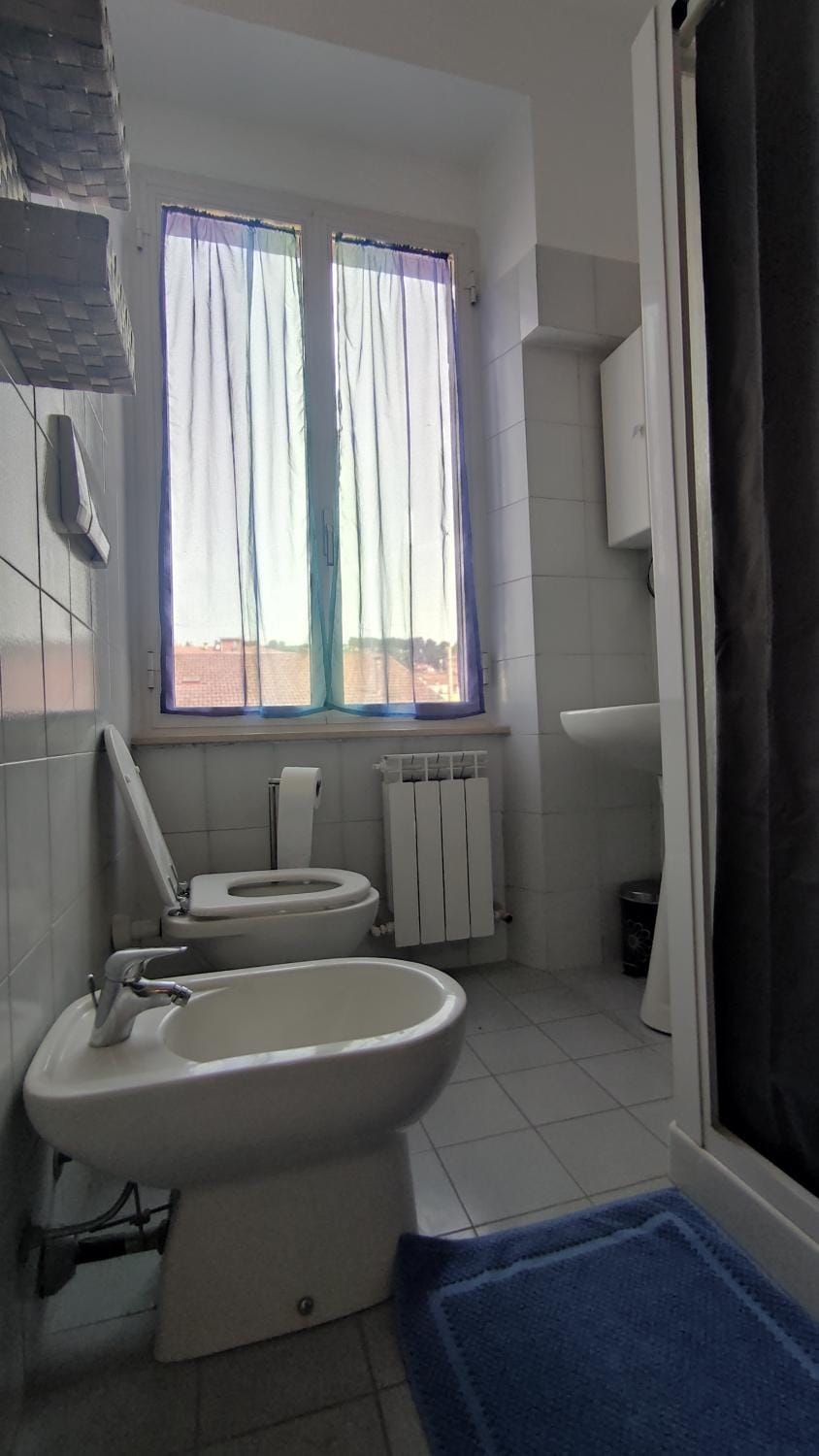 Shower, Toilet, Bathroom, towels