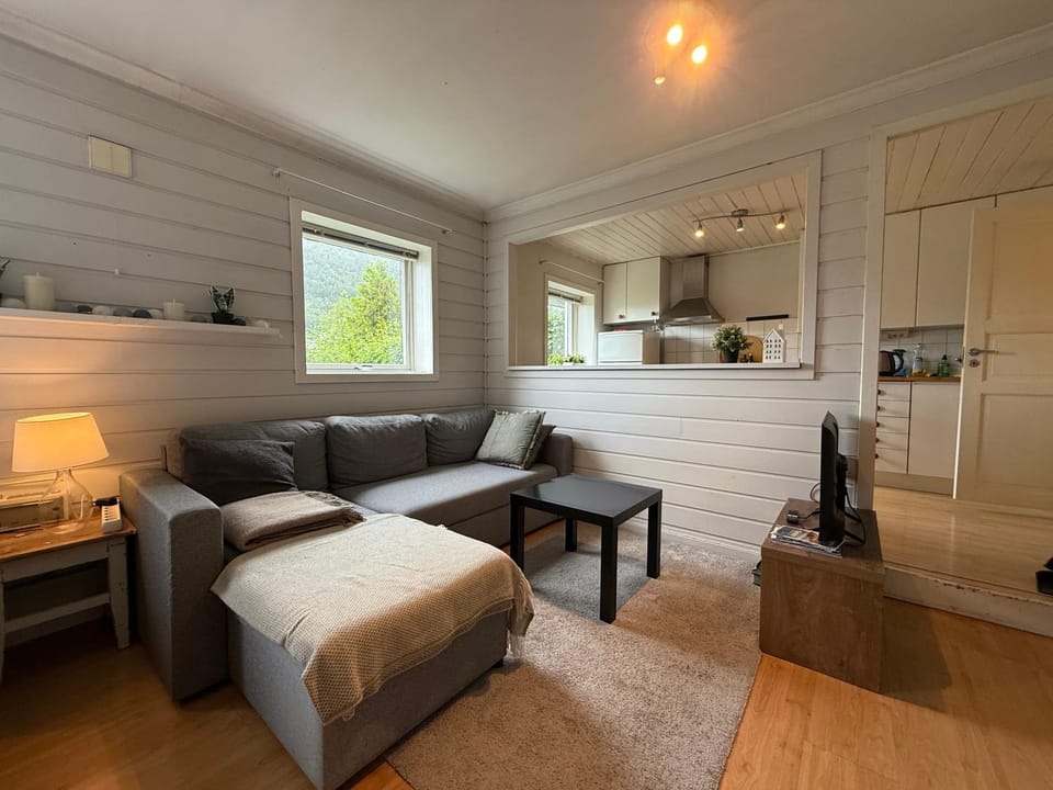 Cosy apartment with free parking Apartment in Bergen