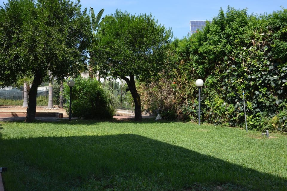 Day, Garden