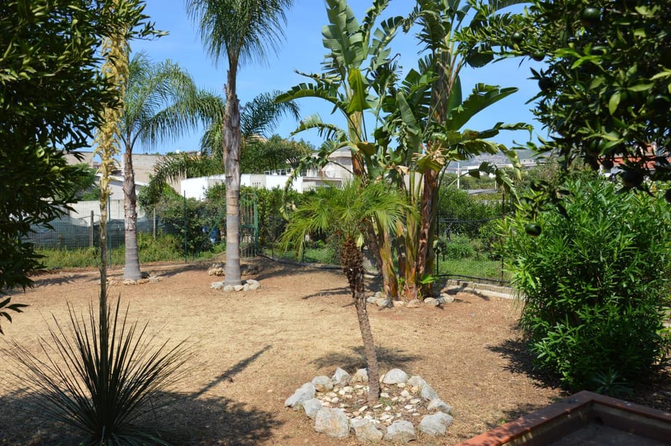 Day, Garden, Garden view