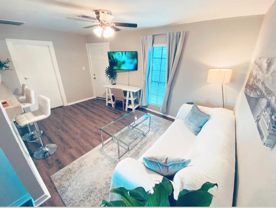 Newly Remodeled Oasis - Fast WiFi Vit C Shower Free Parking Near IAH DT & Pass Program Apartment in Harris County