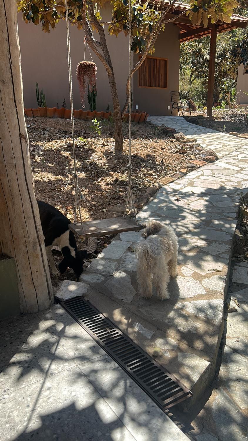 Pets