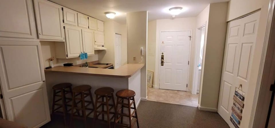 1st Floor Mountain View Suite Ski On Off At Jiminy- Fully Redone Decor Apartment in Lanesborough