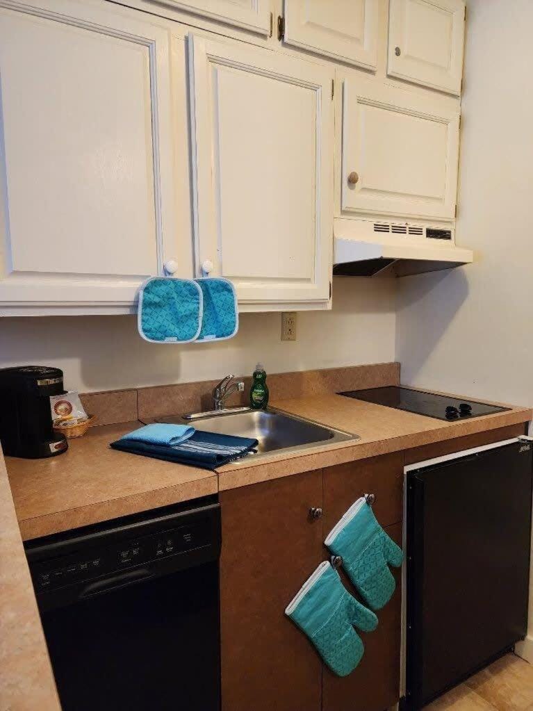 1st Floor Mountain View Suite Ski On Off At Jiminy- Fully Redone Decor Apartment in Lanesborough