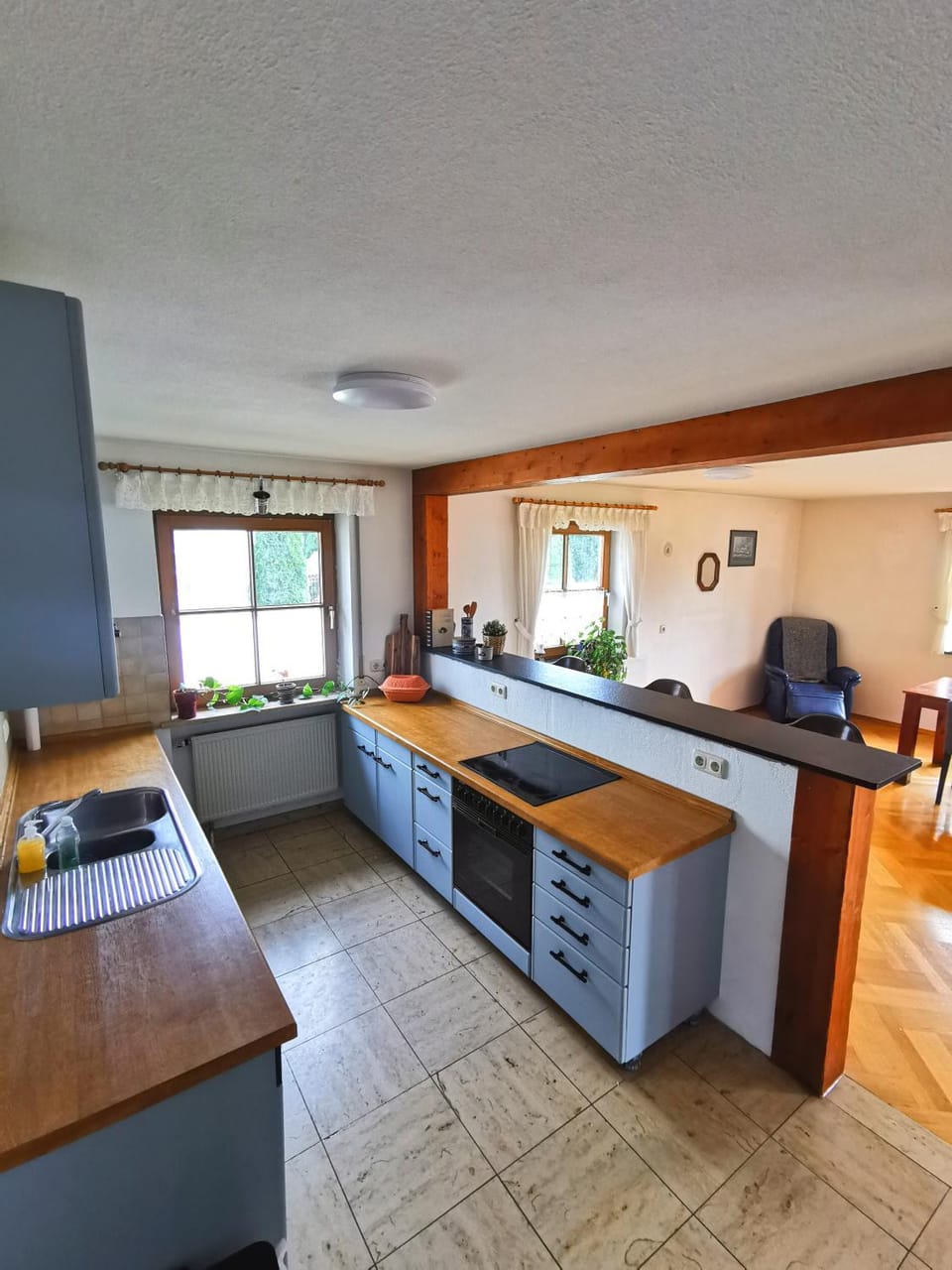 Kitchen or kitchenette, kitchen