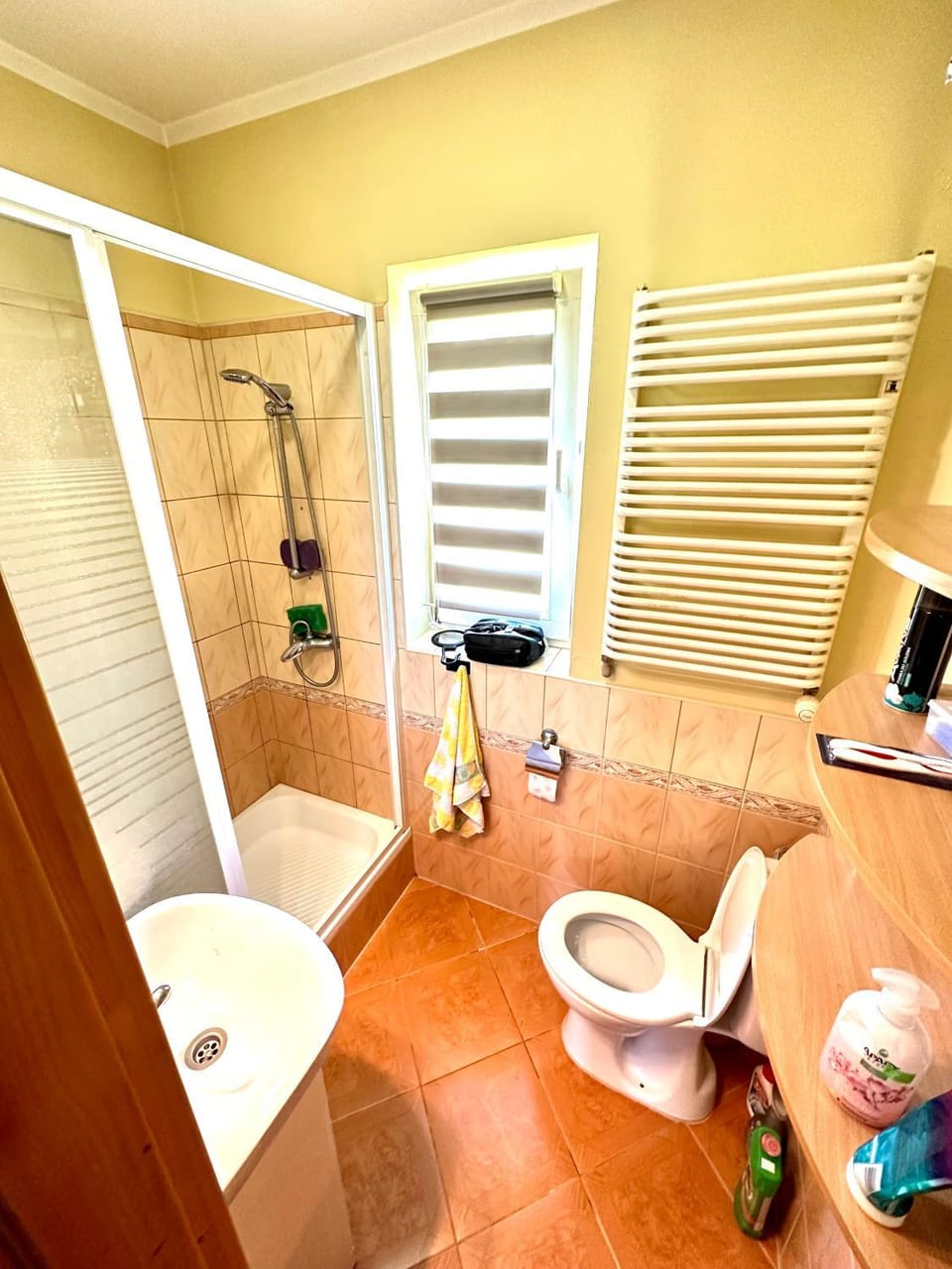 Shower, Toilet, Bathroom