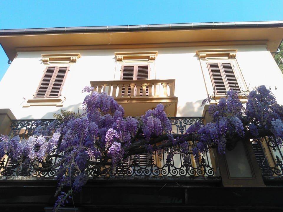 Decorative detail