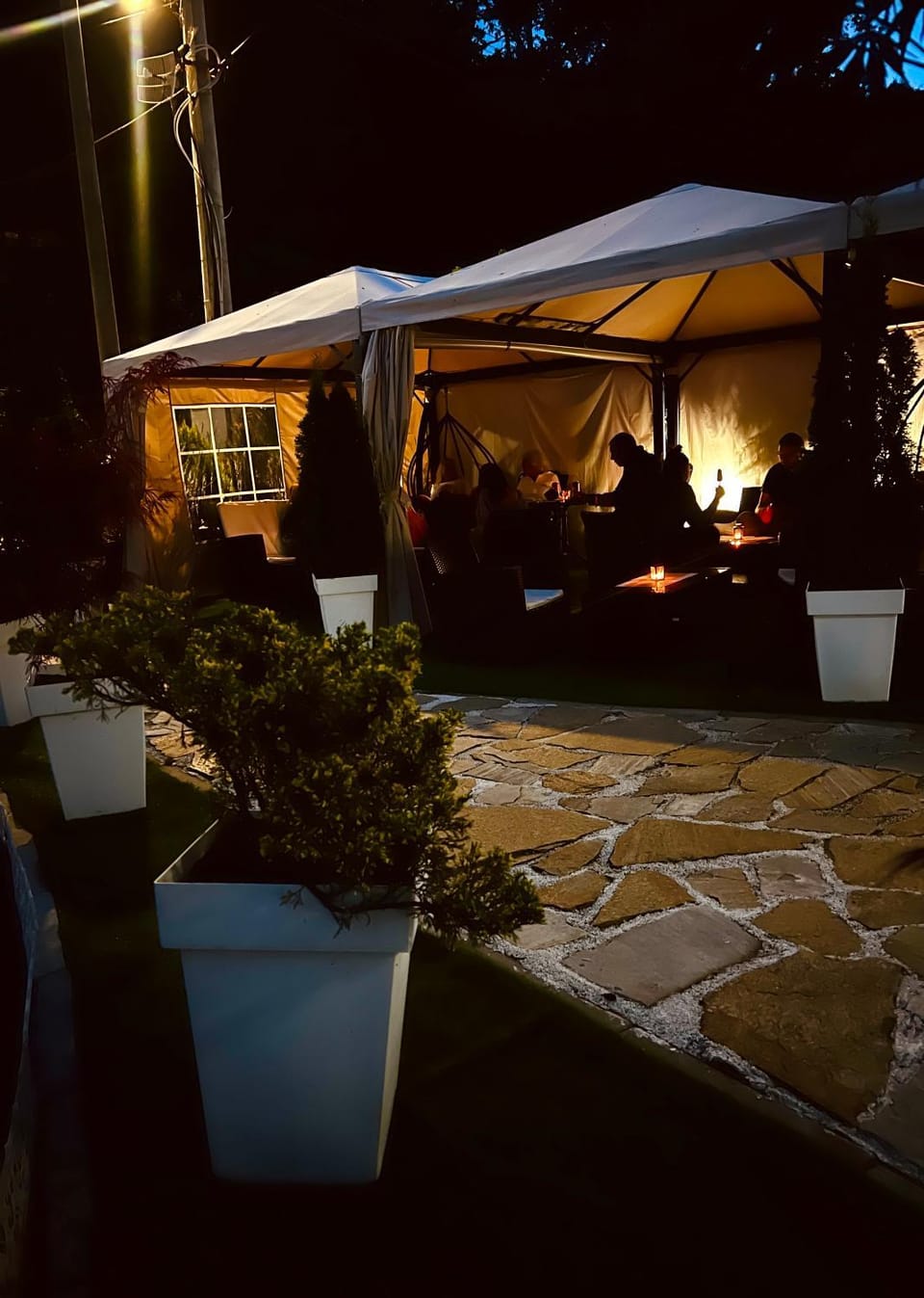 Patio, Night, Garden, Garden view