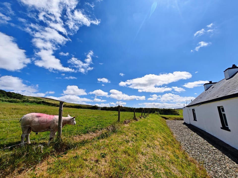 Property building, Spring, Day, Natural landscape