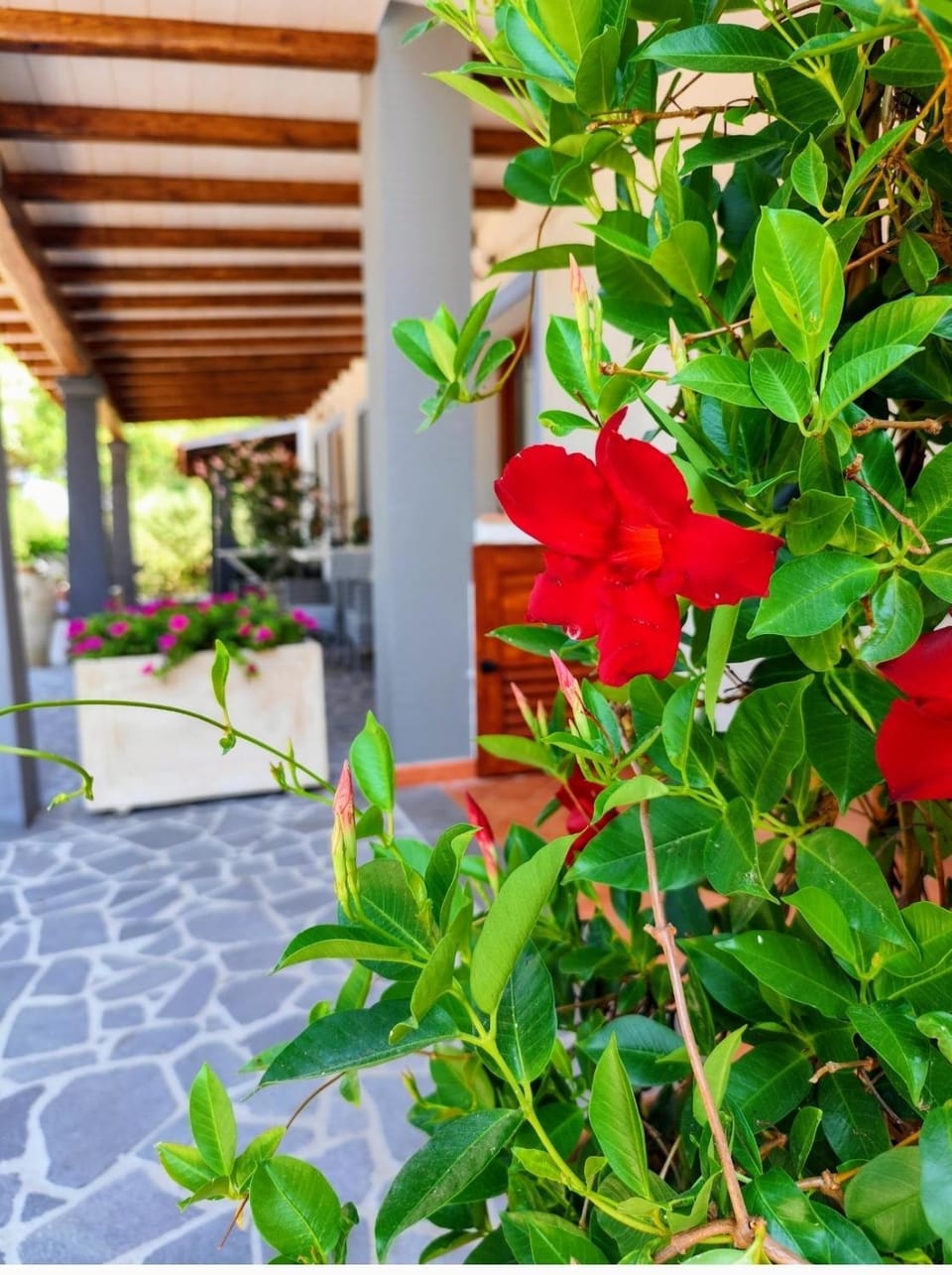 Residenza di Campagna Dolmen Motorra Country House in Sardinia