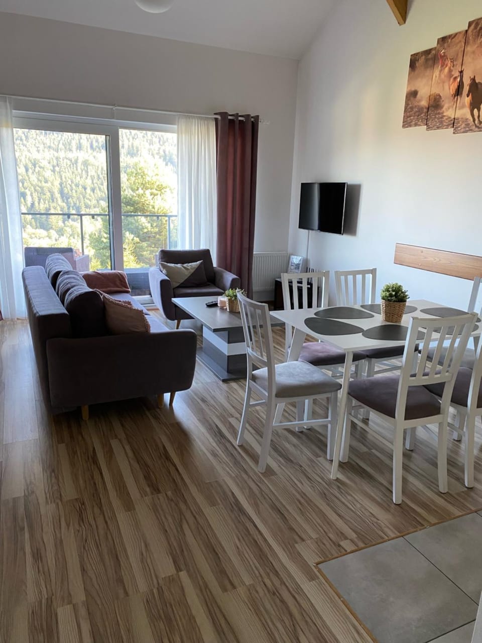 Communal lounge/ TV room, Living room