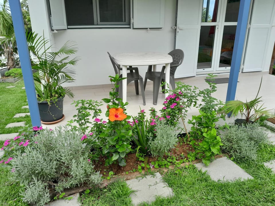 Patio, Garden