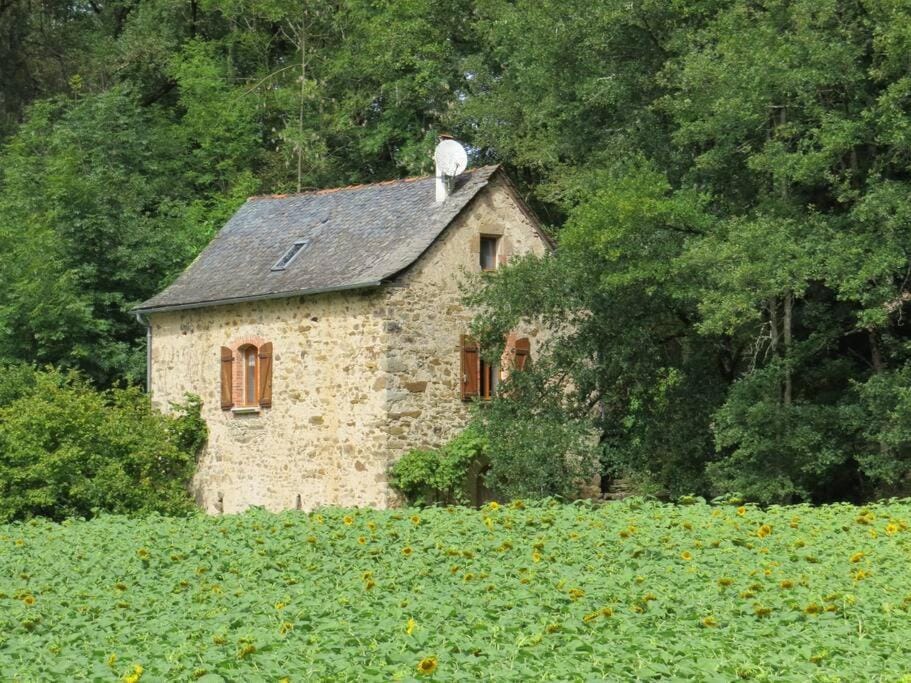 Property building, Garden