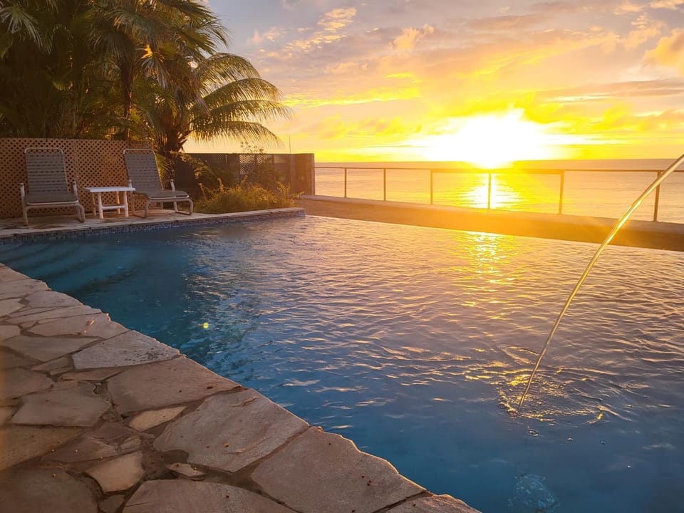 Birdie's Nest Apartment in Western Tobago