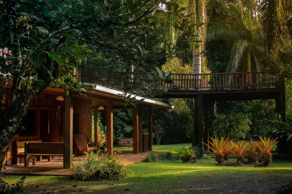 Property building, Natural landscape, Garden view