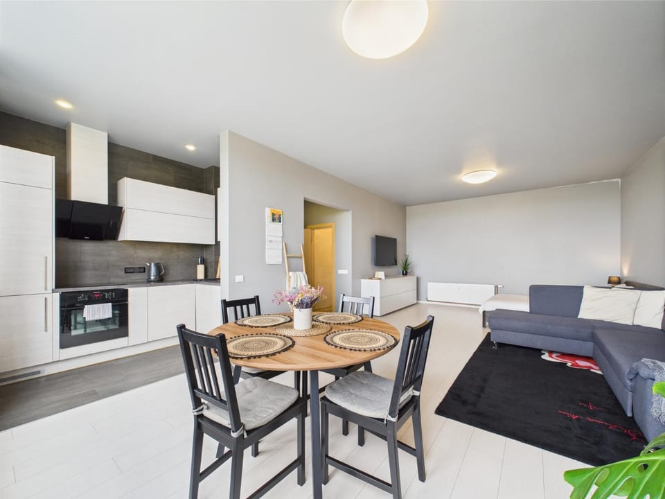 Kitchen or kitchenette, Living room, Seating area, Dining area, oven, stove