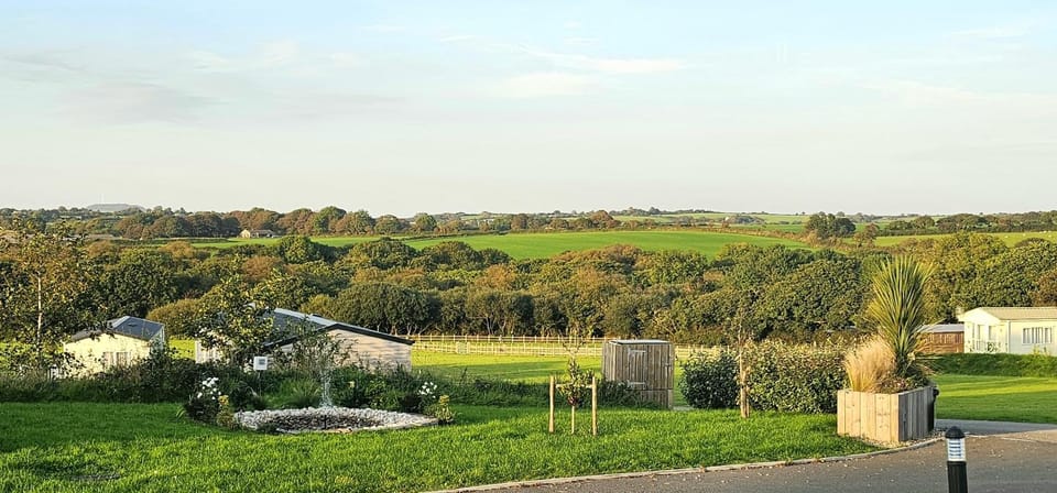 Day, Garden view