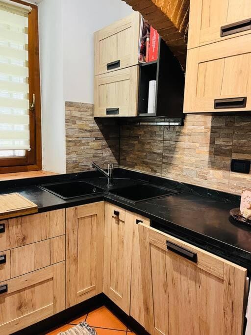 Kitchen or kitchenette, dishwasher, minibar, pet friendly, stove