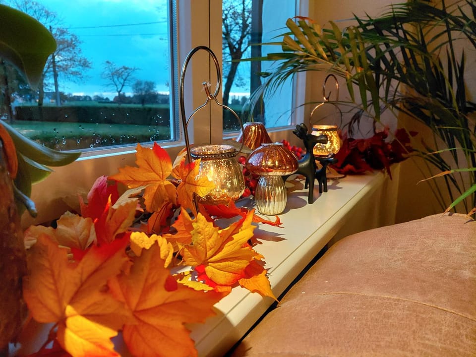 B&B Den Bruynen Bergh Bed and Breakfast in Flanders