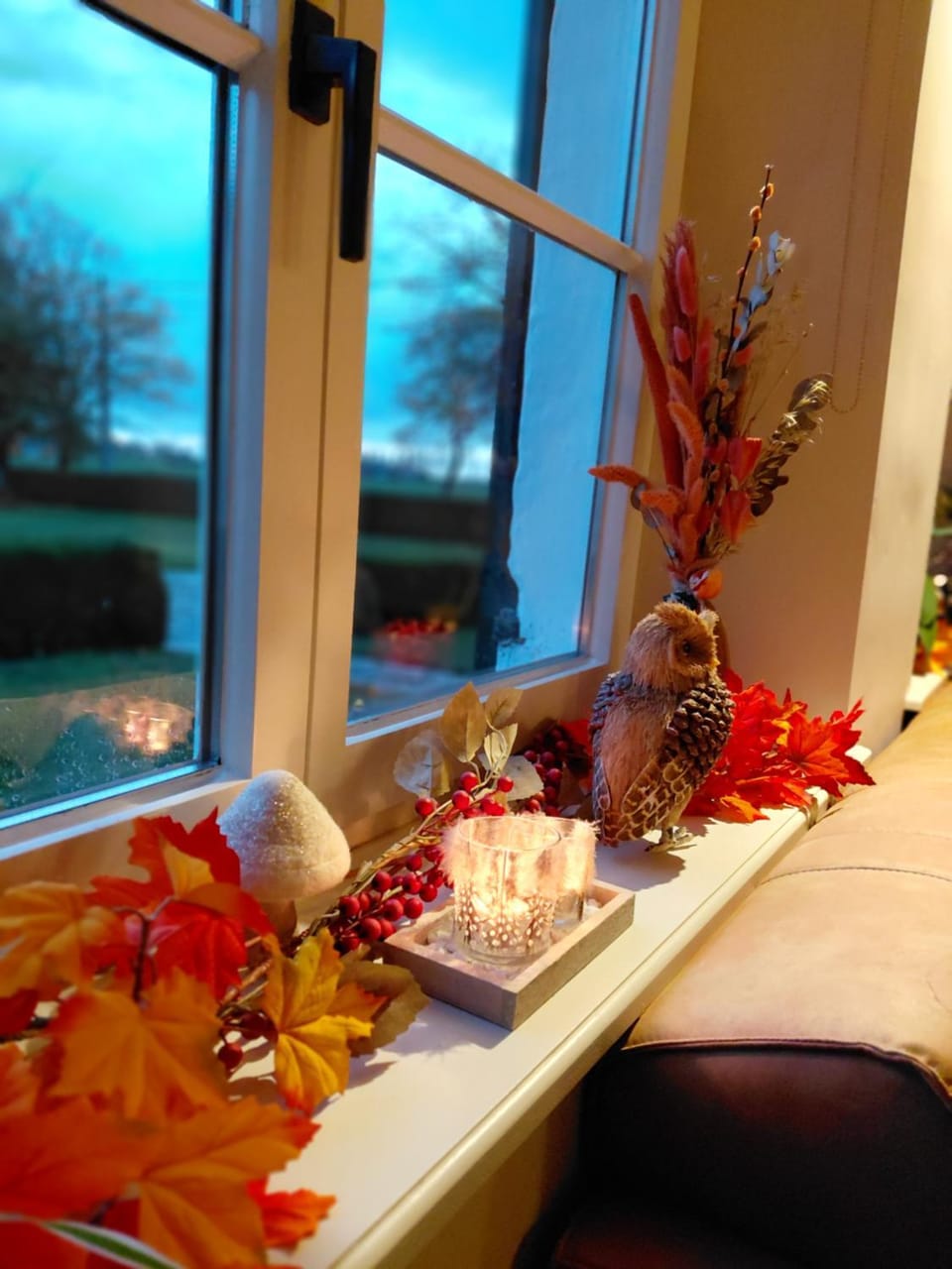 B&B Den Bruynen Bergh Bed and Breakfast in Flanders