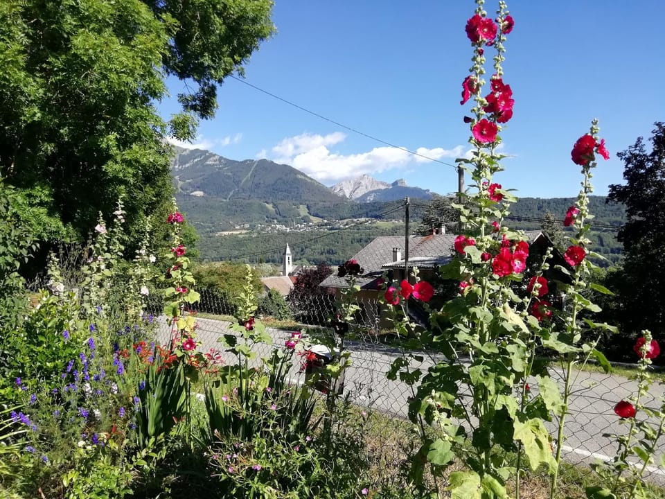 View (from property/room)