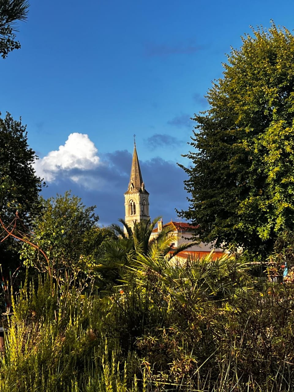 Natural landscape