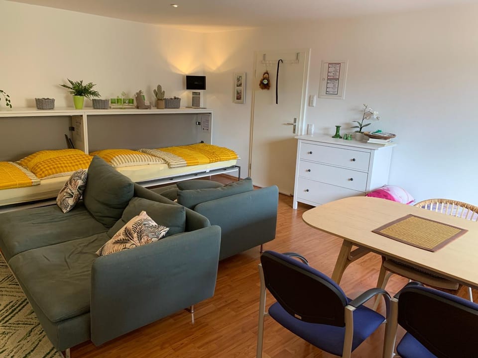 Bed, Living room, Photo of the whole room, Seating area, Dining area, Bedroom, air conditioner