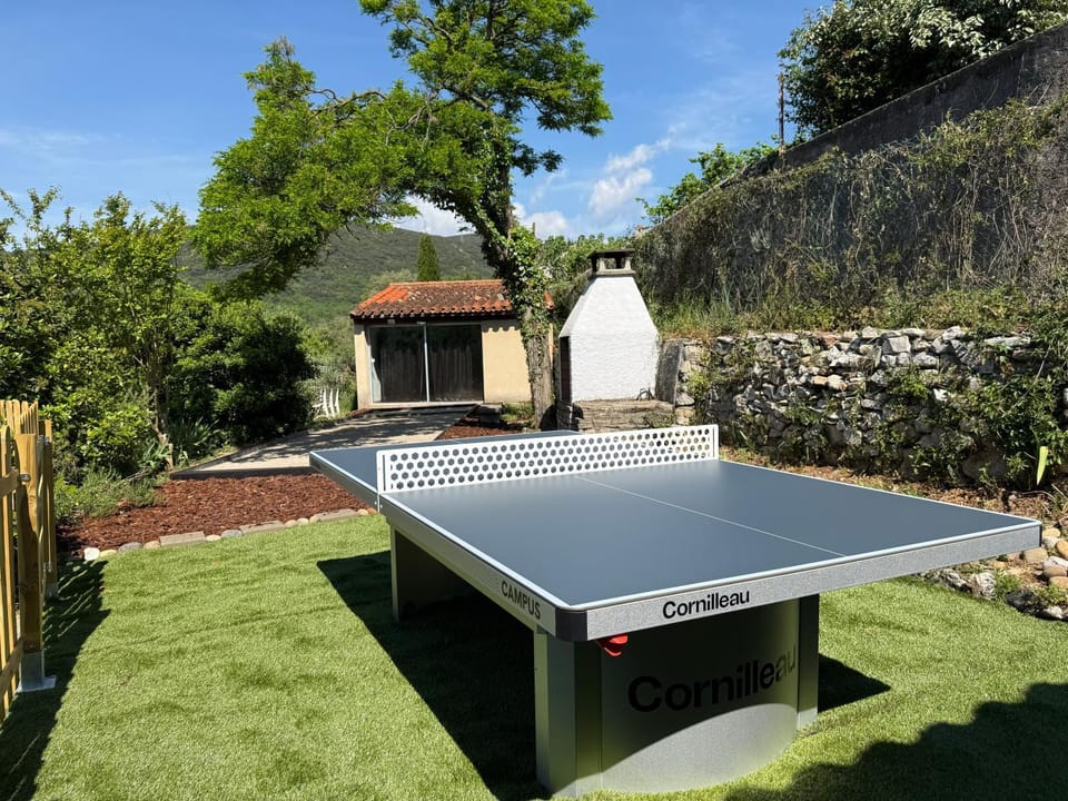 Garden, Table tennis, Table tennis