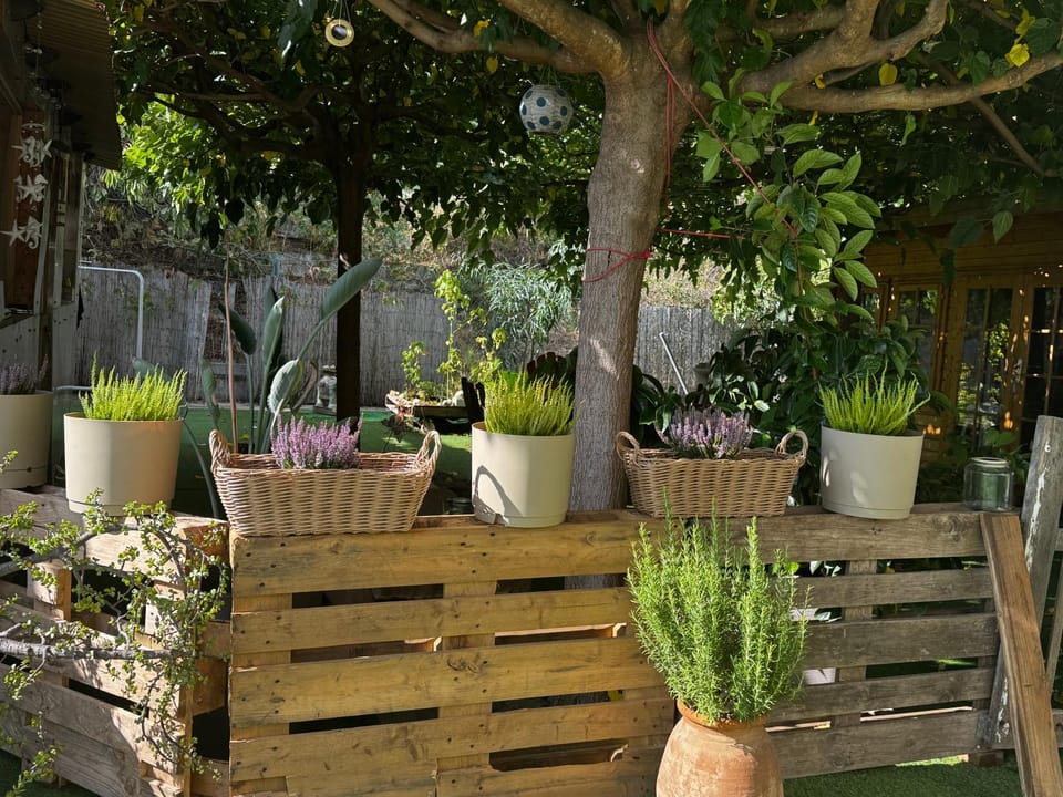 Day, Garden, Garden, Garden view