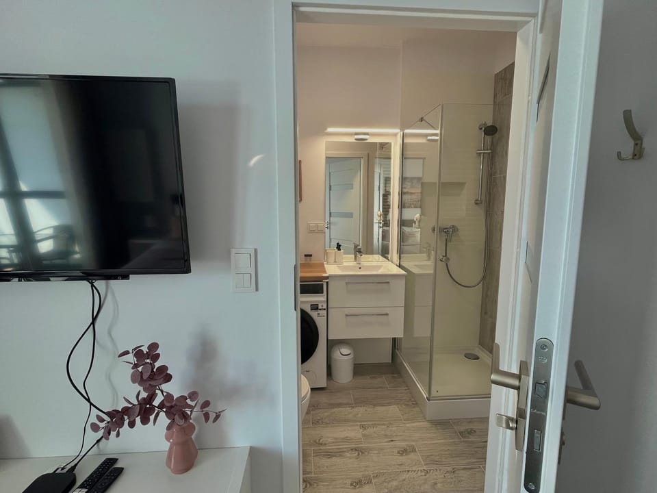 Shower, Bathroom, TV and multimedia, washing machine