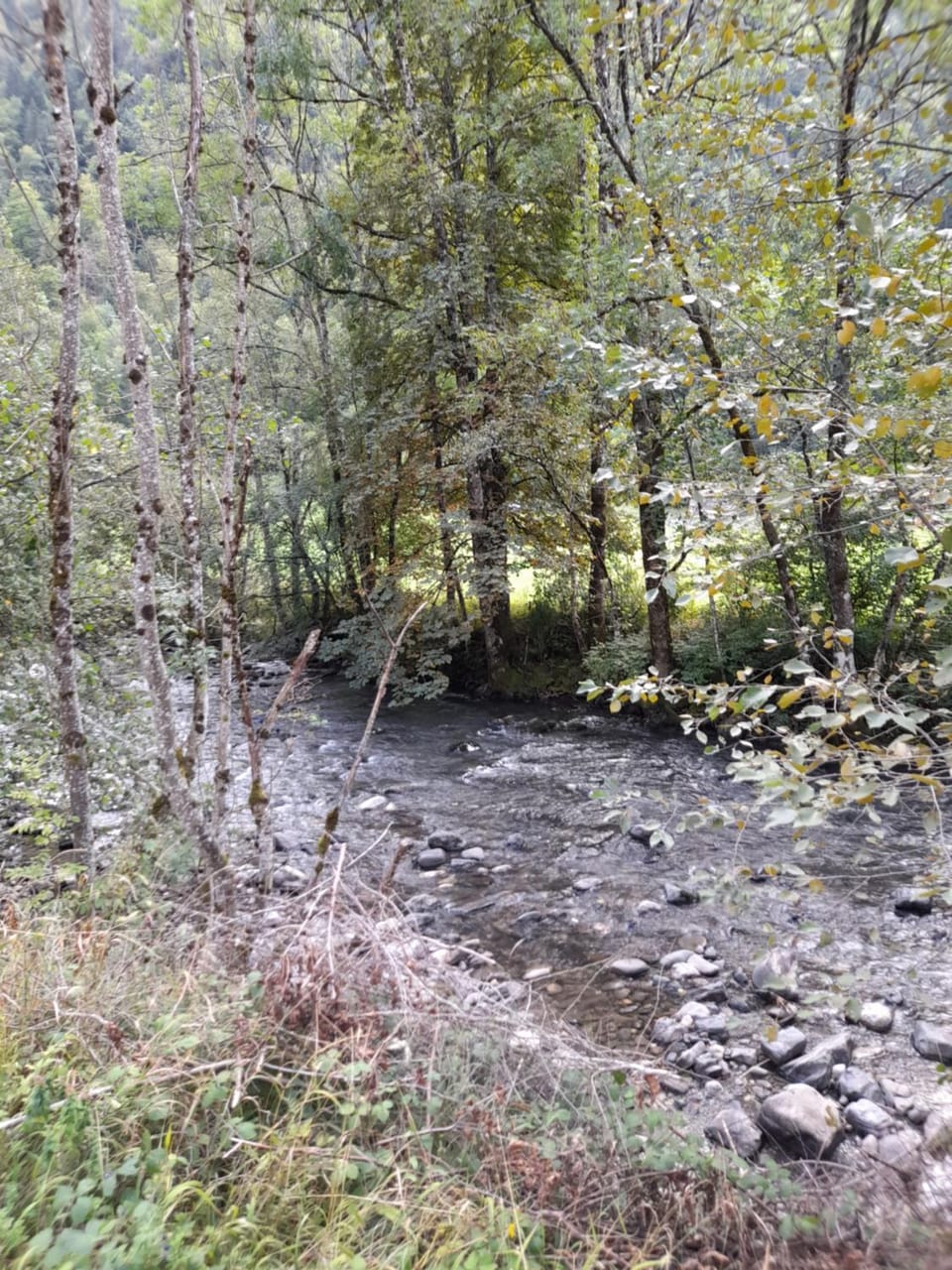 River view