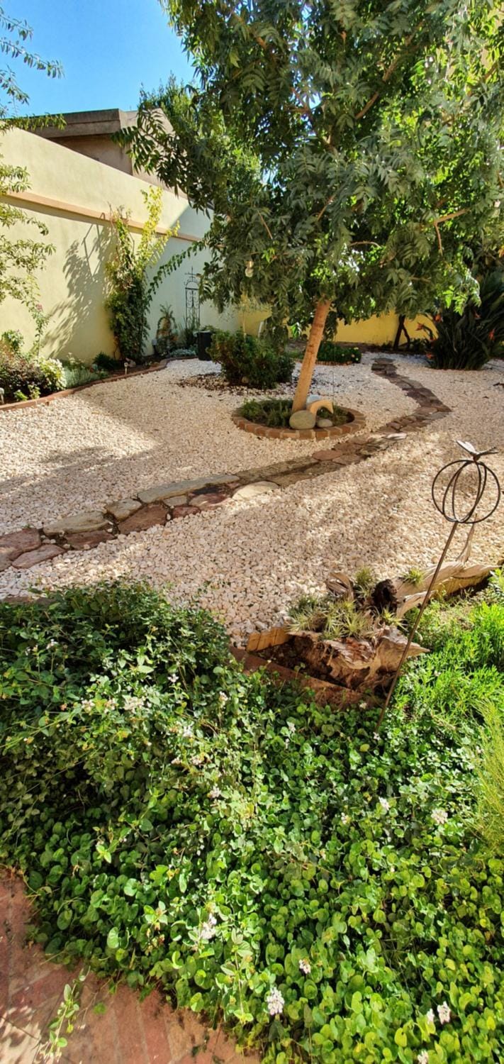 Garden, Garden, Garden view