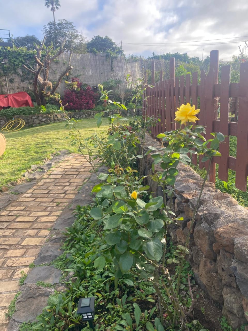 Garden view