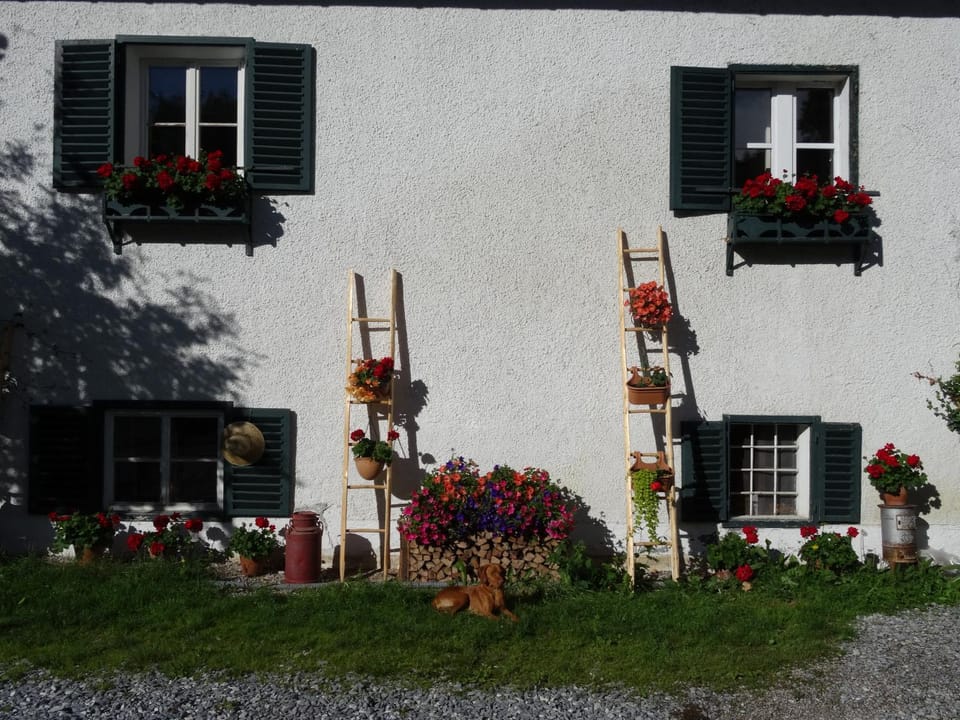 Melchambauer Apartment in Maria Alm