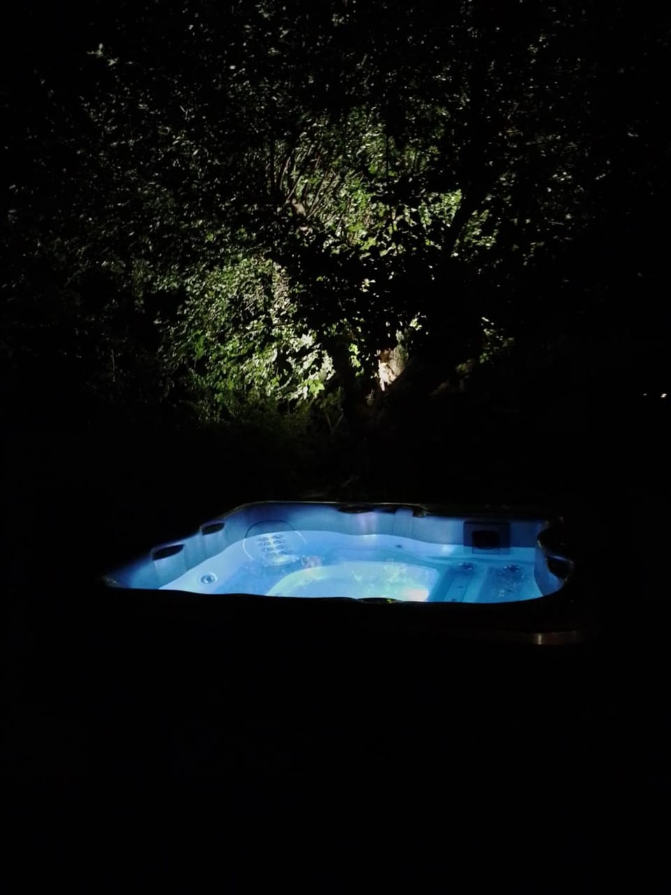 IL CASALE DEL VINO Bed and Breakfast in Veneto