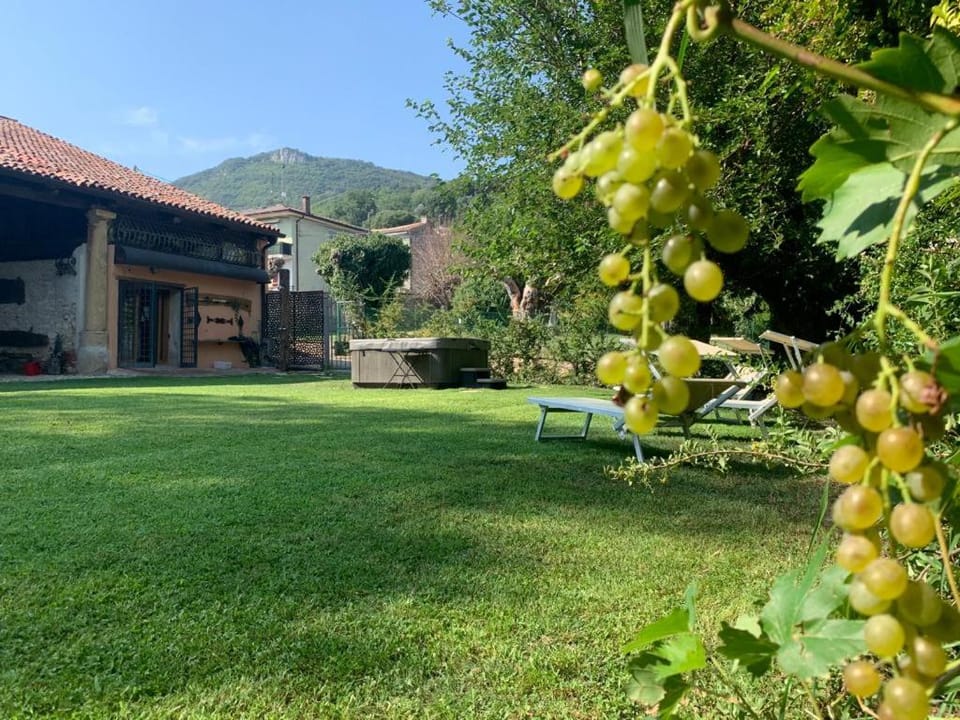 IL CASALE DEL VINO Bed and Breakfast in Veneto